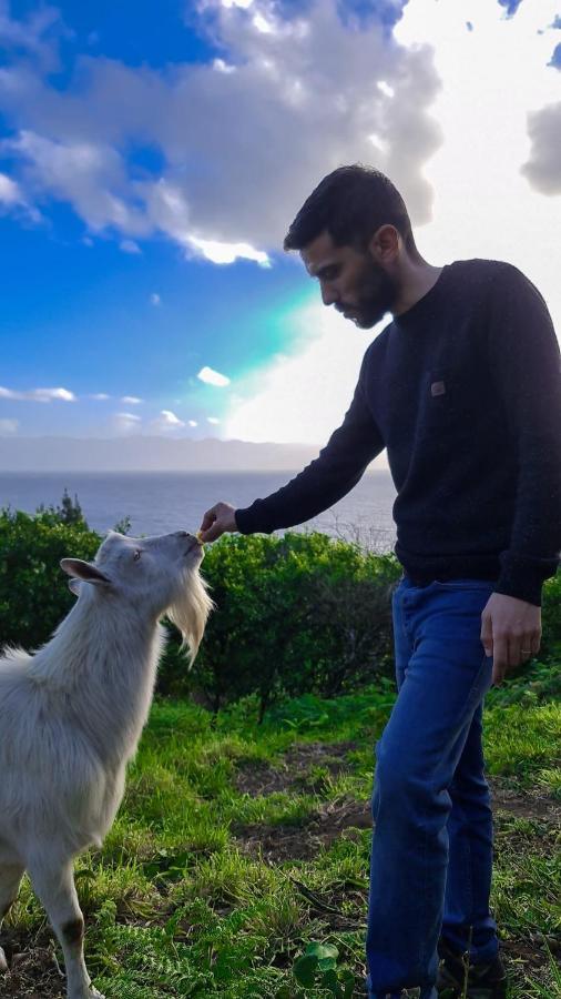 Quinta Do Caminho Da Igreja Ter-Casas De Campo Velas Eksteriør billede
